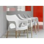 Natural Zebra Antishock - Sedia contract in Faggio e Policarbonato per bar,ristorante,piscina,hotel SCAB DESIGN